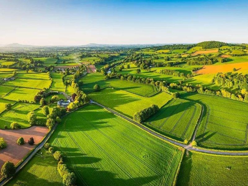 农业金融平台创新扶持